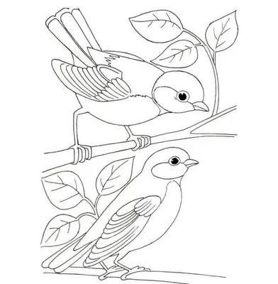 Раскраска зимующие птицы - 61 фото