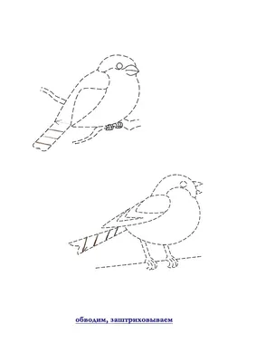 Раскраски зимующие птицы с дикими птицами
