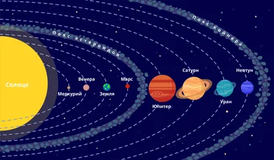 Расположение солнечной системы и планет солнце и планетарные орбиты  образовательная схема галактики с планетами | Премиум векторы