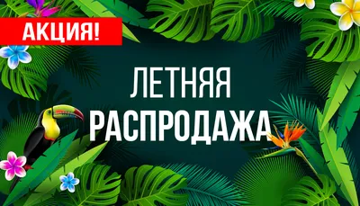 Распродажа 11.11 в 2023 | Интернет-магазин АртФлора