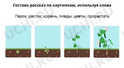 Мерсибо Развивающие карточки составление рассказа по картинкам Что