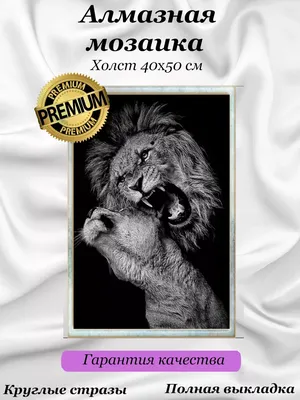 Книга Детеныши животных - отзывы покупателей на маркетплейсе Мегамаркет |  Артикул: 100026627820