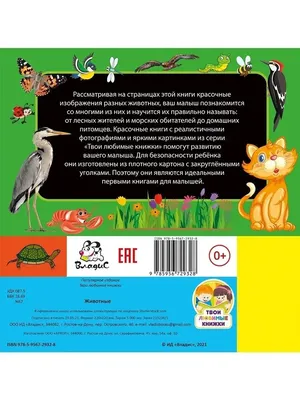 Зоомагазинам и птичьим рынкам могут запретить продавать животных - Новости  Тулы и области - 1tulatv