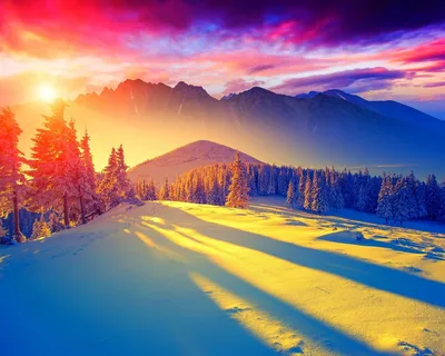 Картинки зима, снег, горы, солнце, рассвет, ели - обои 1280x1024, картинка  №158574 | Пейзажи, Зимние сцены, Зима