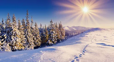 Первый рассвет зимы. 1 декабря 2022