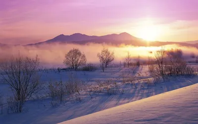Драгоценный, зимний рассвет. | Альбертик Мальбертик | Дзен