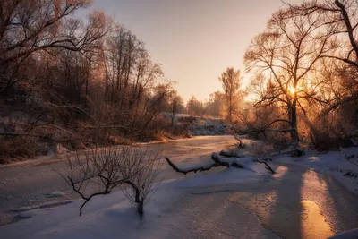 Рассвет зимы и морозный туман Стоковое Изображение - изображение  насчитывающей россия, природа: 83149903