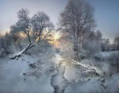 Обои рассвет, зима, солнце, небо, просвет, утро, деревья, снег, туман,  мороз, двор картинки на рабочий стол, фото скачать бесплатно