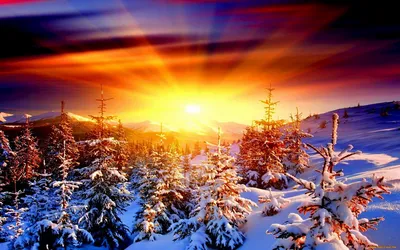 Пазл «Прекрасный рассвет зимой» из 170 элементов | Собрать онлайн пазл  №213514