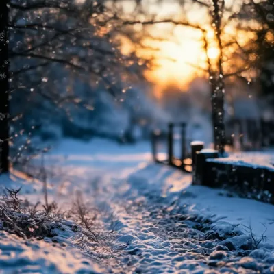 Прекрасный зимний рассвет стоковое фото ©vvvita 39625941
