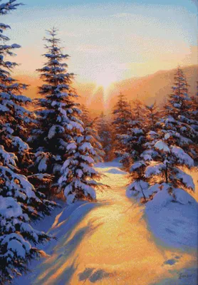 Зима Рассвет Солнце - Бесплатное фото на Pixabay - Pixabay