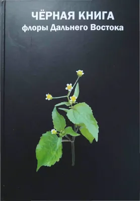 🐅 Лекарственные растения Дальнего Востока 👉 Пион молочноцветковый/Пион  белоцветковый (Paeonia lactiflora/Paeonia albiflora). Китайское… | Instagram