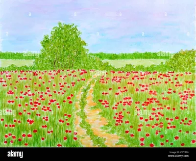 Картинки цветы на лугу красивые (69 фото) » Картинки и статусы про  окружающий мир вокруг