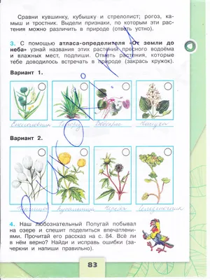 Жизнь пресного водоёма - презентация, доклад, проект