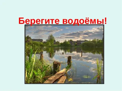 Ответы Mail.ru: Задание : составить схему цепи питания, характерной для пресного  водоёма.