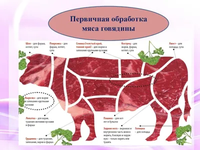 Мясо и его обработка - online presentation
