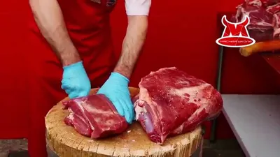 Первичная обработка мяса говядины презентация, доклад, проект