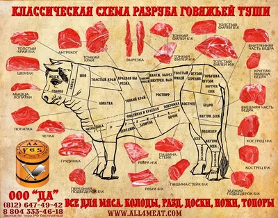 Разделка туши говядины и особенности кусков разруба. | ВКонтакте