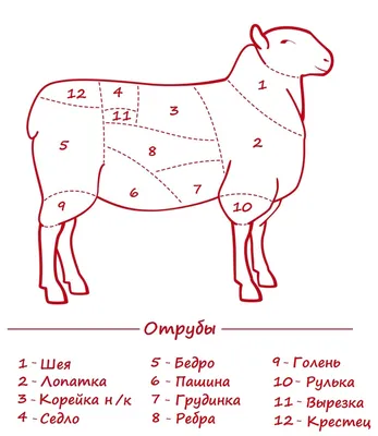 Говядина рисунок частей - 51 фото