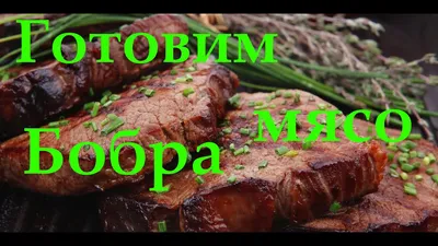 Какие части мяса выбрать для разных блюд — читать на Gastronom.ru