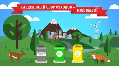Раздельный сбор мусора в Москве и Московской области с 1 января 2019