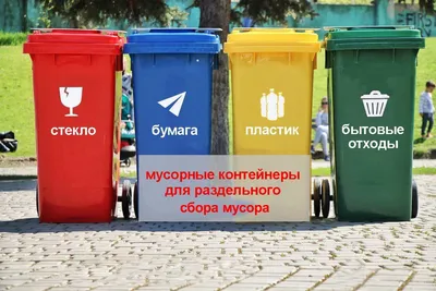 Раздельный сбор мусора начнут внедрять на Дону с 2019 года | ROSTOF.RU