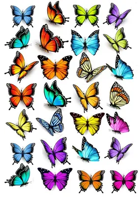 Вафельная картинка Бабочки 10 вариантов | Съедобные картинки Бабочки |  Бабочки разные Формат А4 (ID#1199251329), цена: 70 ₴, купить на Prom.ua