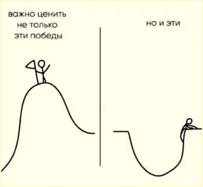 Как видят мир разные живые существа?