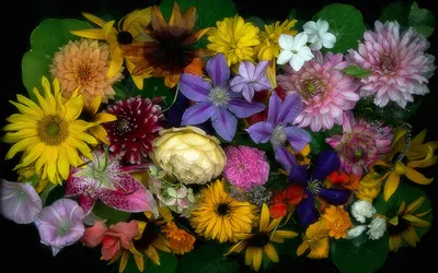 бесшовные модели разные красивые цветы для обоев телефона Фон Обои  Изображение для бесплатной загрузки - Pngtree