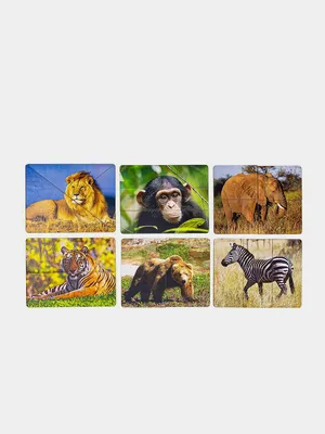 Разрезные картинки Дикие животные купить по цене 530 ₽ в интернет-магазине  KazanExpress