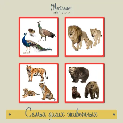 Деревянные разрезные картинки \"Домашние животные\" \"Дикие животные\" купить  по цене 378.34 ₽ в интернет-магазине KazanExpress