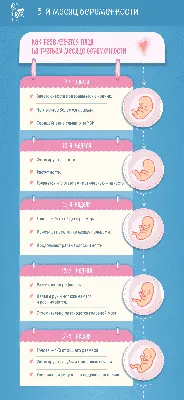 Беременность по неделям: развитие плода и ощущения будущей мамы - Статьи о  детском питании от педиатров и экспертов МАМАКО