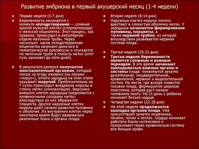 32-я акушерская неделя беременности: особенности срока, проблемы