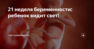 Этапы беременности иллюстрация вектора. иллюстрации насчитывающей девушка -  53920557