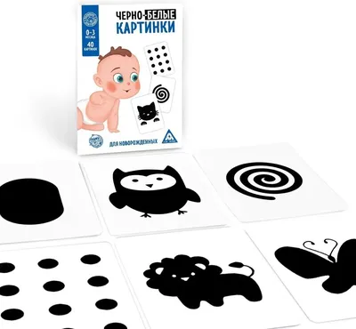 Набор развивающих карточек ПупсВиль для новорожденного 40 шт черно-белые  картинки купить по цене 480 ₽ в интернет-магазине Детский мир