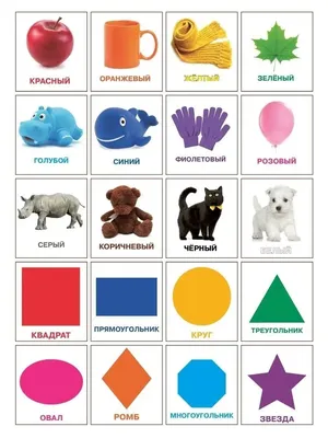 Развивающие обучающие карточки Шпаргалки для мамы Карточки Домана -  настольная игра для детей купить по цене 489 ₽ в интернет-магазине Детский  мир