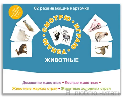 62 развивающие карточки. Животные — Магазинчик детских книг «Я люблю читать»