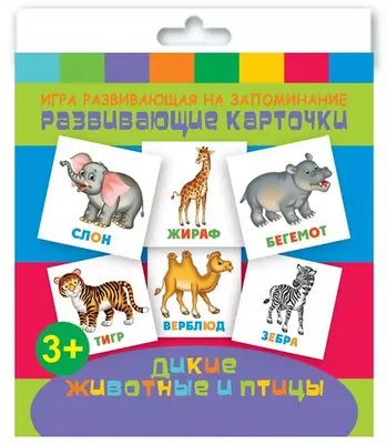 Сборник! Развивающие мультики про животных для детей - YouTube