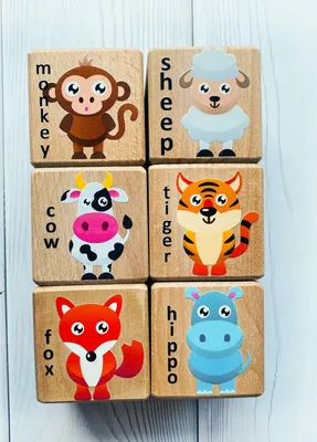 Купить Развивающие карточки для детей от 2 лет «Животные» в Минске в  Беларуси в интернет-магазине OKi.by с доставкой или самовывозом