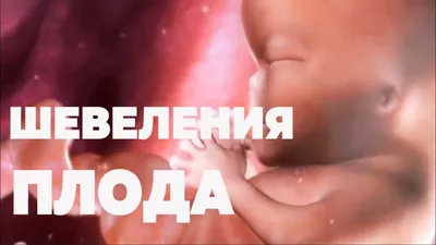 Эмбрион ребенка внутри живота, в …» — создано в Шедевруме
