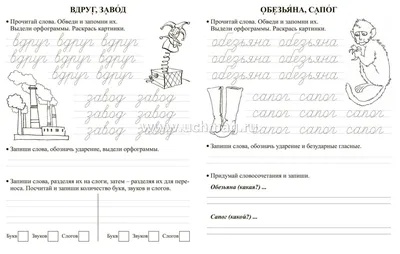 Задание в картинках по русскому языку для детей. Впиши пропущенные буквы.  Страница 1292