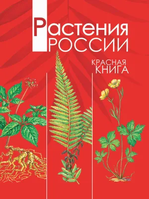 На юге Сибири зацвело редкое краснокнижное растение