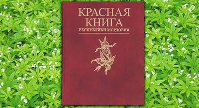 Из Красной книги Ивановской области исключили виды, которые обитали на  затопленных островах