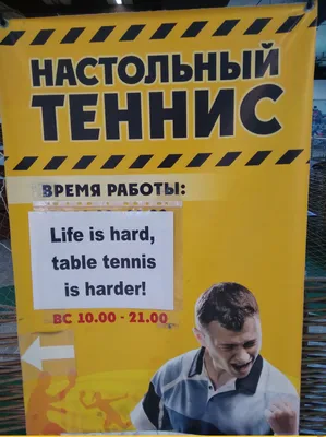 Основание для ракетки настольного тенниса купить по выгодной цене в Москве