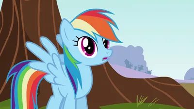 My Little Pony: Friendship is Magic | Rainbow Dash BEST Episodes | 2 Hour  Compilation | MLP Episodes - YouTube