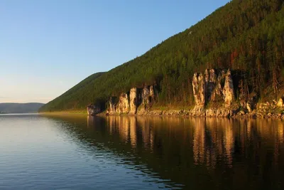 вечерний летний пейзаж с камышами на берегу реки, Россия, Урал Stock-Foto |  Adobe Stock