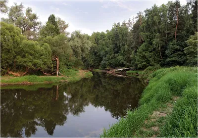 Река, ставшая \"кровавой\" в пригороде Краснодара, напугала кубанцев -  PrimaMedia.ru
