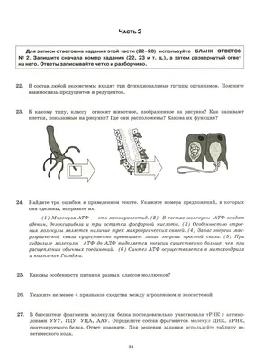 Задание 19 ЕГЭ 2024 Обществознание Алгоритм выполнения - YouTube