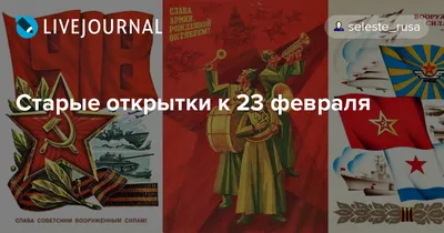 Поздравляем мужчин с Днем Защитника Отечества! — Агентство недвижимости  Старый Стиль