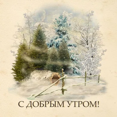 Зимняя ретро открытка с добрым утром! | Открытки, Винтажная открытка,  Картинки
